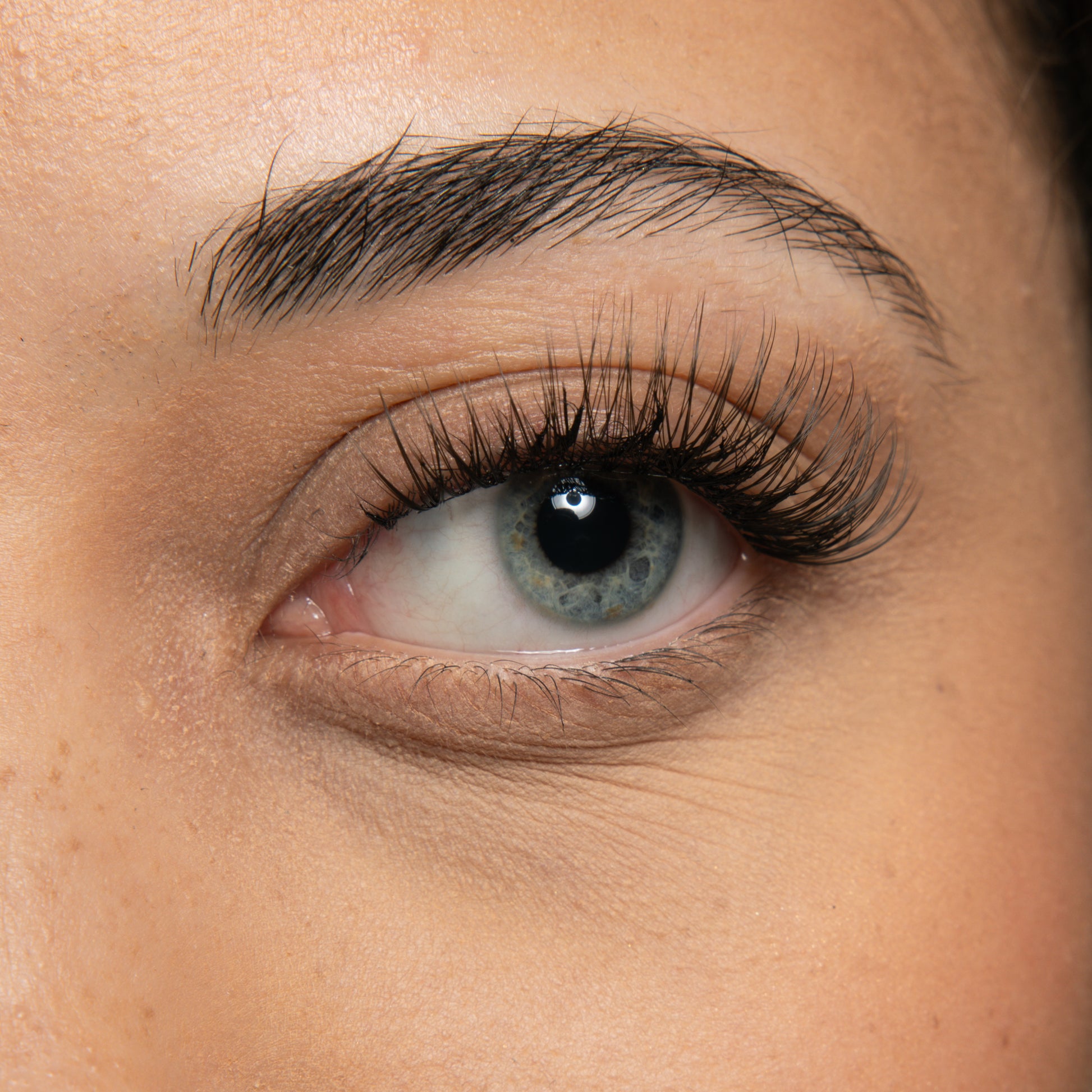 Maria Maeve Lashes