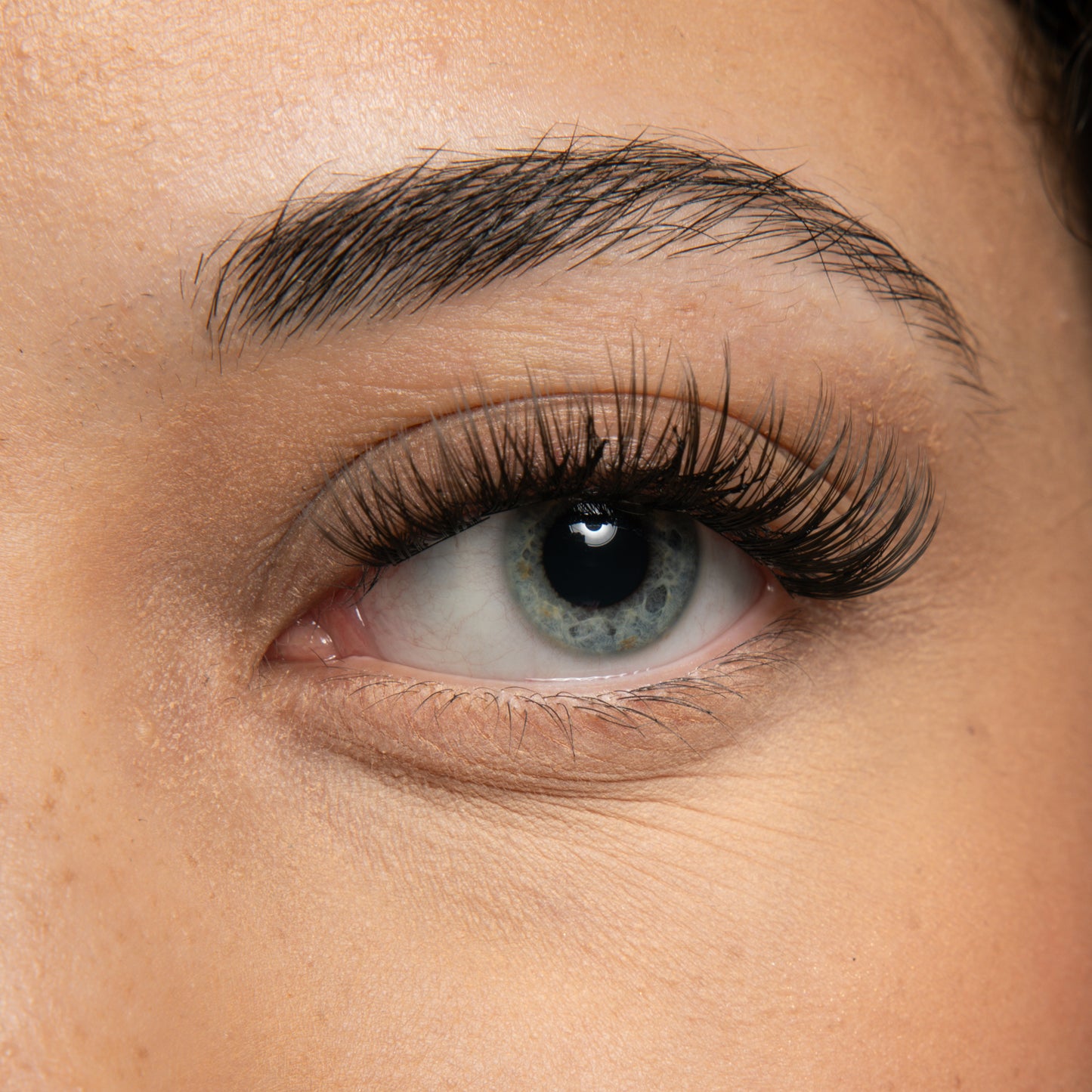 Maria Maeve Lashes